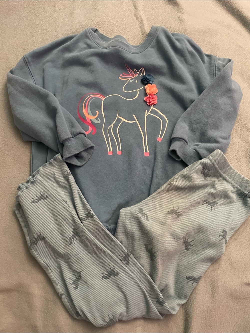 Girls' Blue Unicorn Floral Applique Set